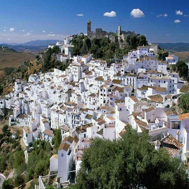 Visita Ronda y Pueblos Blancos desde Málaga