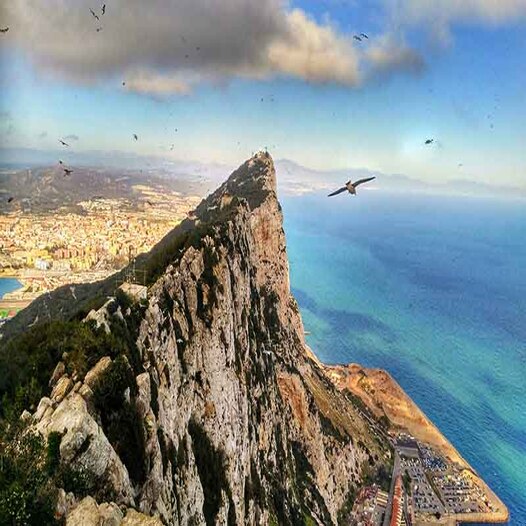Visita Gibraltar desde Málaga y Costa del Sol