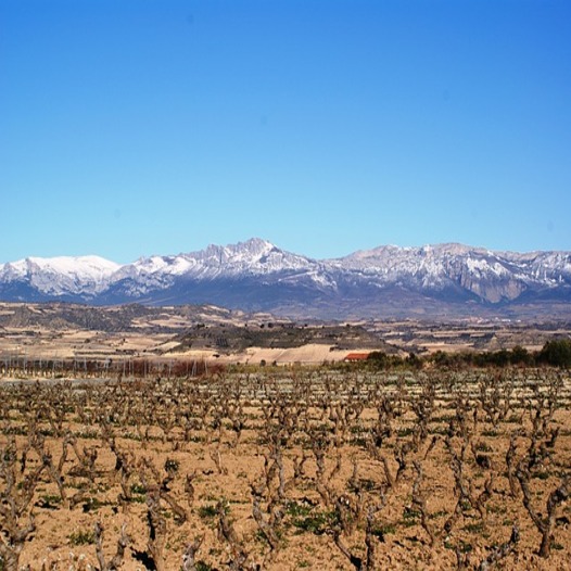 Tour La Rioja for 2 days from Logroño